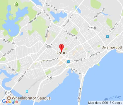 logo-image - lynn-ma